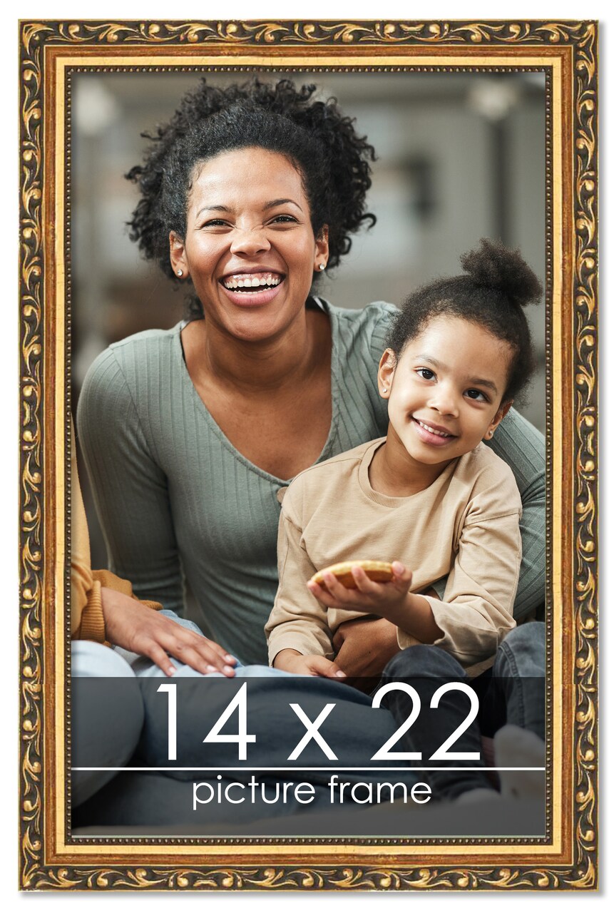 14x22 Museum-Quality Picture Frame with UV-Resistant Acrylic & Acid-Free Backing, Available in 4 Finishes - Gold, Silver, Bronze, and Black